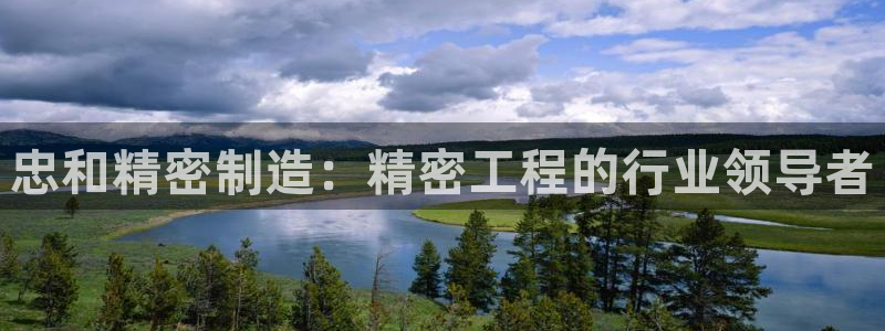 下载彩神乐发V1：忠和精密制造：精密工程的行业领导者