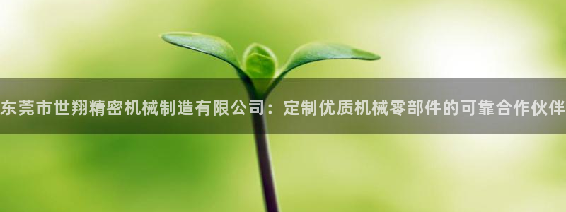 彩神用户登录：东莞市世翔精密机械制造有限公司：定制优质机械零部件的可靠合作伙伴