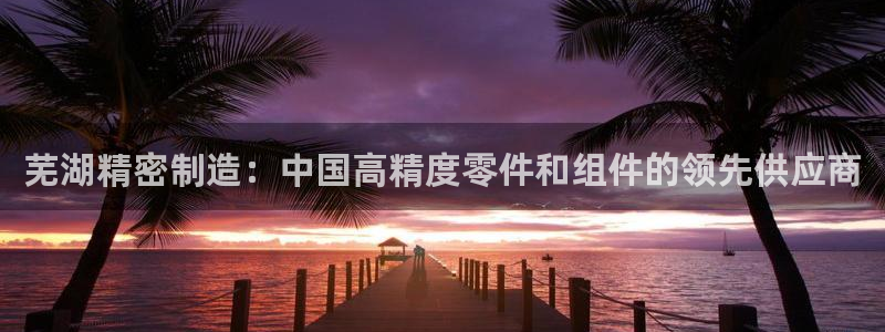 彩神怎么样可以提现：芜湖精密制造：中国高精度零件和组件的领先供应商