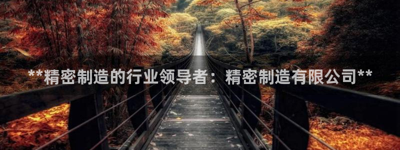 彩神ix平台：**精密制造的行业领导者：精密制造有限公司**