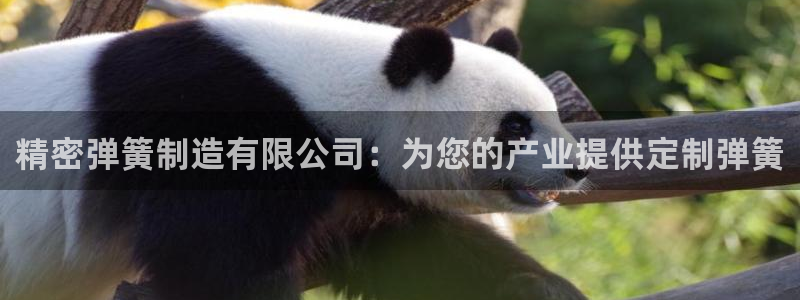 彩神网官网登录：精密弹簧制造有限公司：为您的产业提供定制弹簧