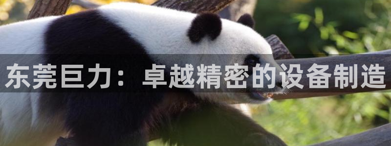 彩神v争霸是啥