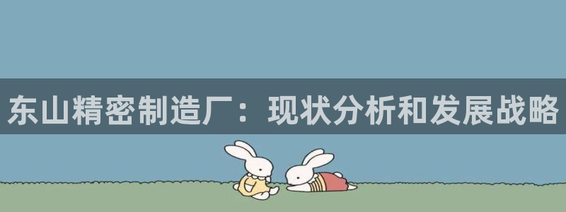 彩神v秘聊号码：东山精密制造厂：现状分析和发展战略
