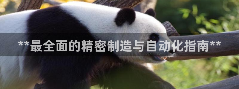 彩神V集团公司：**最全面的精密制造与自动化指南**