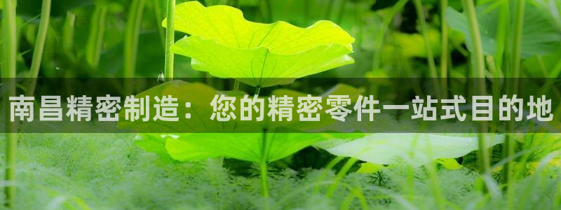 v大发彩神8iii：南昌精密制造：您的精密零件一站式目的地