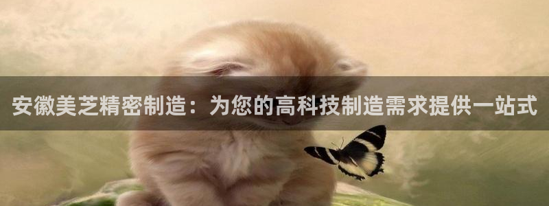 彩神vii官网大赢家：安徽美芝精密制造：为您的高科技制造需求提供一站式