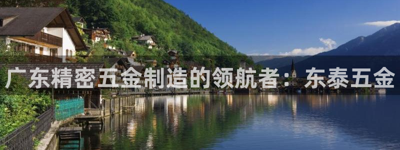 新版彩神v8登录不了：广东精密五金制造的领航者：东泰五金
