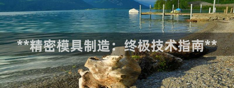 彩神app赚钱是真是假：**精密模具制造：终极技术指南**