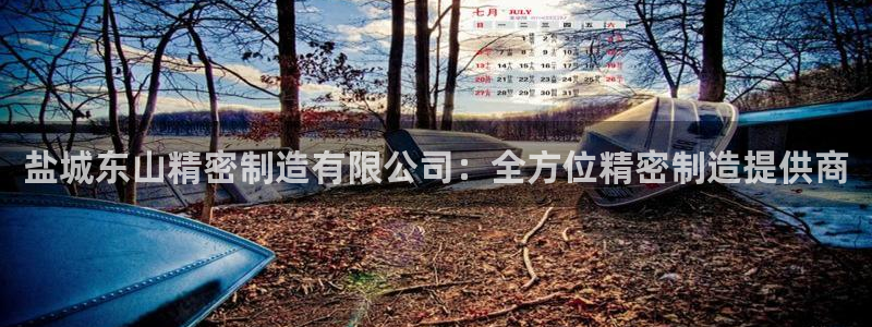 彩神v平台：盐城东山精密制造有限公司：全方位精密制造提供商