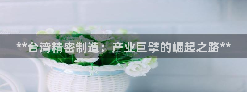 彩神是什么平台：**台湾精密制造：产业巨擘的崛起之路**