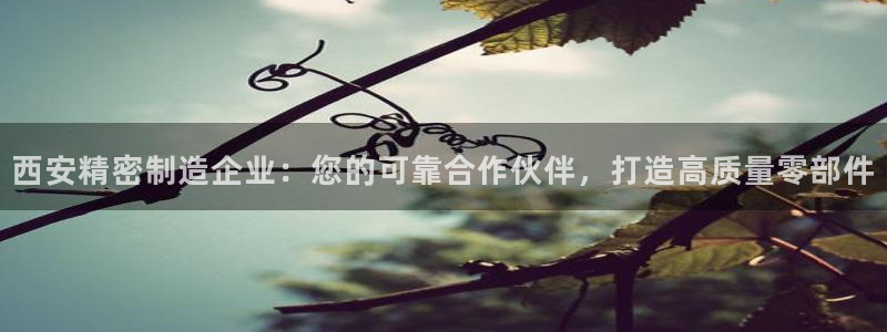 彩神8官网下：西安精密制造企业：您的可靠合作伙伴，打造高质量零部件