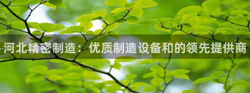 彩神大发黑平台：河北精密制造：优质制造设备和的领先提供商