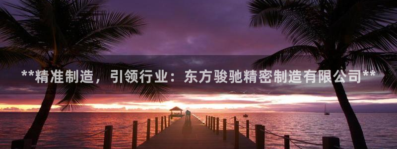 彩神8是正规平台吗是正品吗：**精准制造，引领行业：东方骏驰精密制造有限公司**