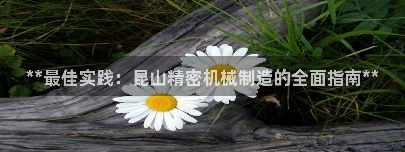 彩神v8购彩大厅登：**最佳实践：昆山精密机械制造的全面指南**