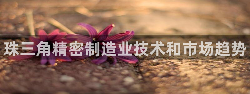彩神争霸官方下载：珠三角精密制造业技术和市场趋势