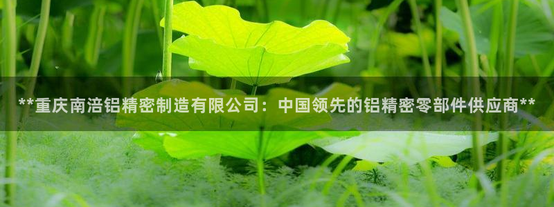 彩神旗下有哪些平台：**重庆南涪铝精密制造有限公司：中国领先的铝精密零部件供应商**