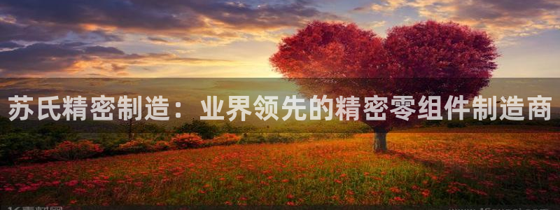 彩神旗下有哪些平台可以看：苏氏精密制造：业界领先的精密零组件制造商