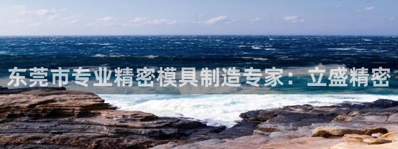 彩神是正规平台吗是真的吗：东莞市专业精密模具制造专家：立盛精密
