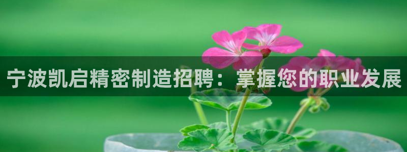 彩神购彩-购彩大厅入口娱乐首选：宁波凯启精密制造招聘：掌握您的职业发展