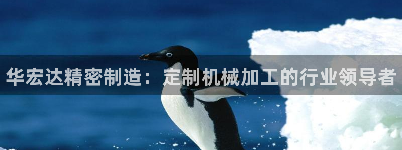 彩神Vll购彩大厅：华宏达精密制造：定制机械加工的行业领导者