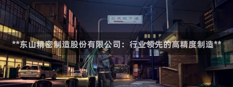 彩神ⅴll用户登录：**东山精密制造股份有限公司：行业领先的高精度制造**