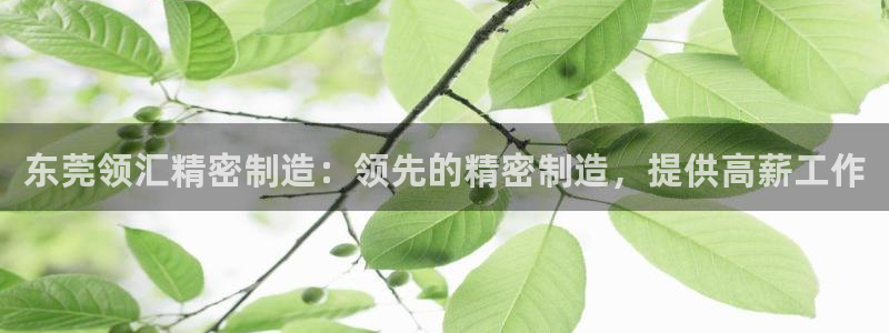 彩神赢钱了吗：东莞领汇精密制造：领先的精密制造，提供高薪工作