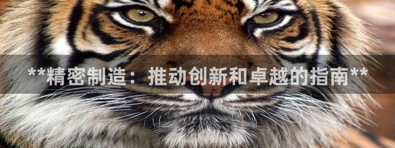 彩神ll能赚钱吗：**精密制造：推动创新和卓越的指南**