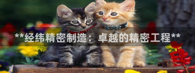 彩神app赚钱是真是假：**经纬精密制造：卓越的精密工程**