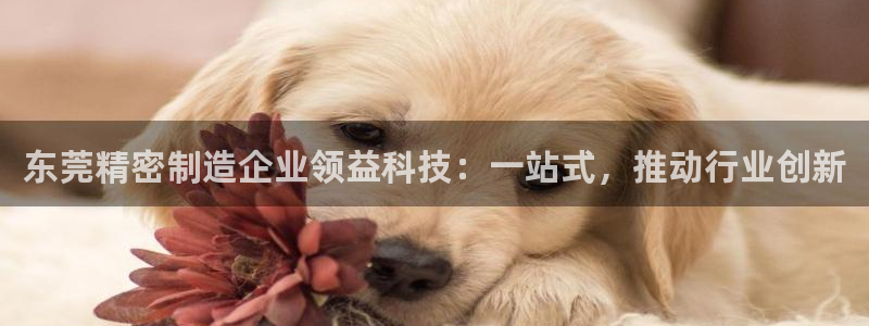 彩神通官方网：东莞精密制造企业领益科技：一站式，推动行业创新