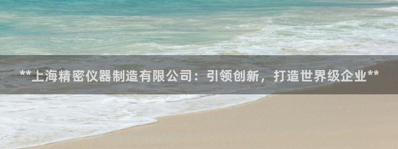 彩神vl购彩大厅：**上海精密仪器制造有限公司：引领创新，打造世界级企业**