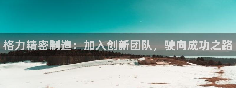 彩神系列平台：格力精密制造：加入创新团队，驶向成功之路
