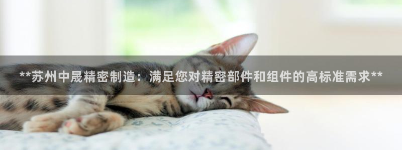 彩神v8购彩大厅登：**苏州中晟精密制造：满足您对精密部件和组件的高标准需求**