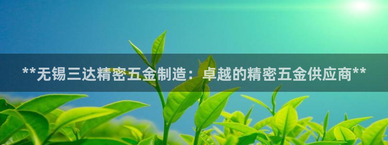 彩神网合法吗：**无锡三达精密五金制造：卓越的精密五金供应商**