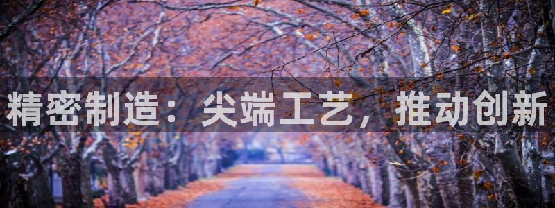 彩神平台是什么套路：精密制造：尖端工艺，推动创新