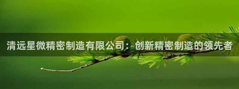 大发彩神官网下载：清远星微精密制造有限公司：创新精密制造的领先者
