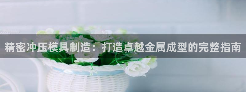 彩神8官网500：精密冲压模具制造：打造卓越金属成型的完整指南