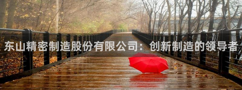 彩神旗下有哪些平台可以玩：东山精密制造股份有限公司：创新制造的领导者