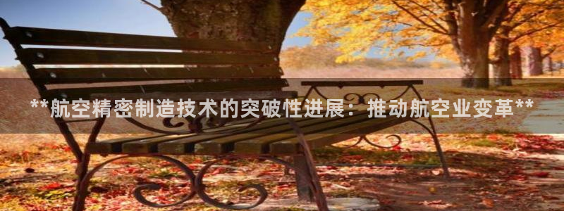彩神8最新版下载：**航空精密制造技术的突破性进展：推动航空业变革**