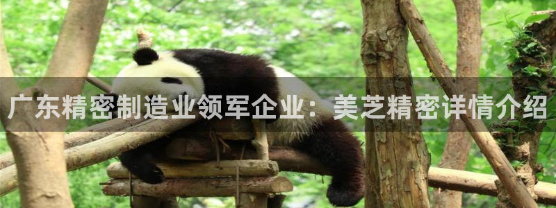 下载彩神乐发V1：广东精密制造业领军企业：美芝精密详情介绍