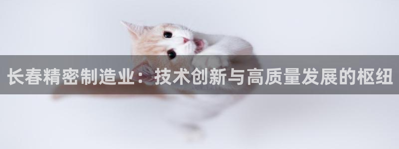 彩神通官网下载：长春精密制造业：技术创新与高质量发展的枢纽