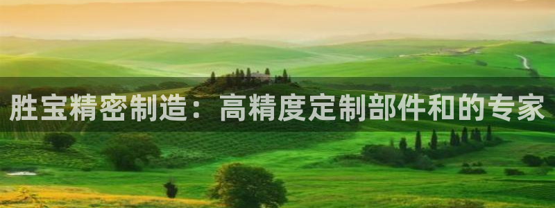 彩神网合法吗：胜宝精密制造：高精度定制部件和的专家