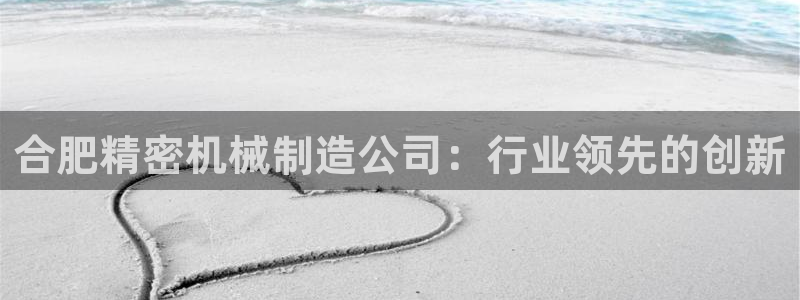 彩神盈利图片：合肥精密机械制造公司：行业领先的创新