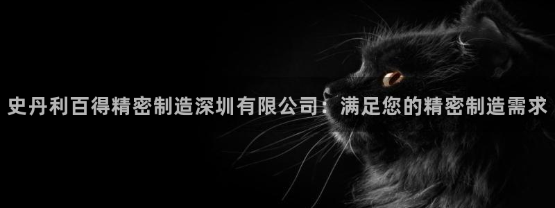 彩神平台之间是什么关系：史丹利百得精密制造深圳有限公司：满足您的精密制造需求