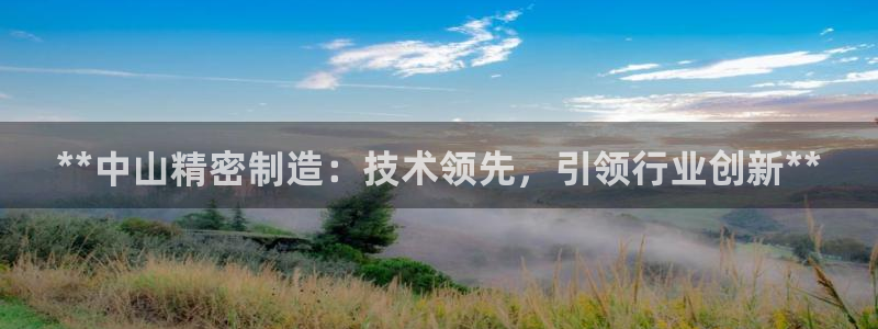 大发彩神最高邀请码：**中山精密制造：技术领先，引领行业创新**