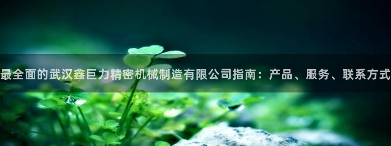 彩神趣购彩用户注册：最全面的武汉鑫巨力精密机械制造有限公司指南：产品、服务、联系方式
