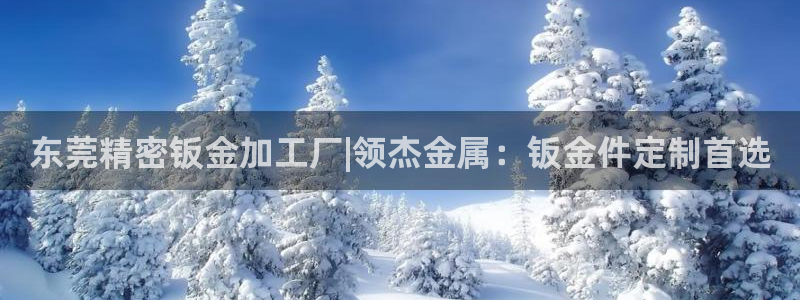 天天彩神welcome：东莞精密钣金加工厂|领杰金属：钣金件定制首选