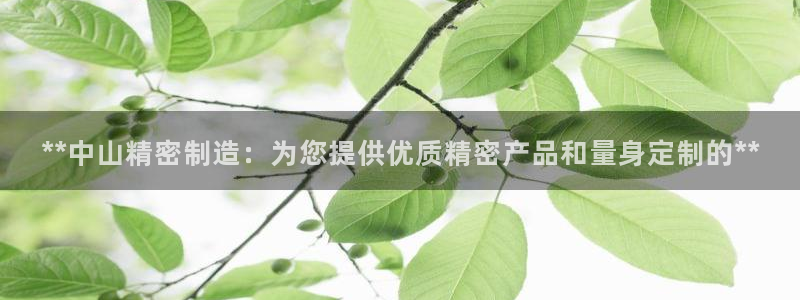 彩神vll趣投彩：**中山精密制造：为您提供优质精密产品和量身定制的**