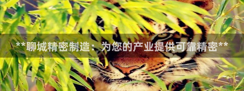 彩神8官网下：**聊城精密制造：为您的产业提供可靠精密**