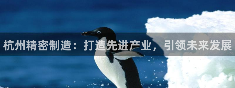 彩神赢了钱登录不上去：杭州精密制造：打造先进产业，引领未来发展