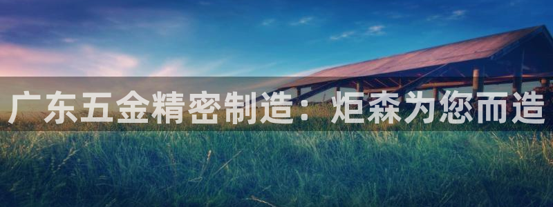 彩神v平台：广东五金精密制造：炬森为您而造